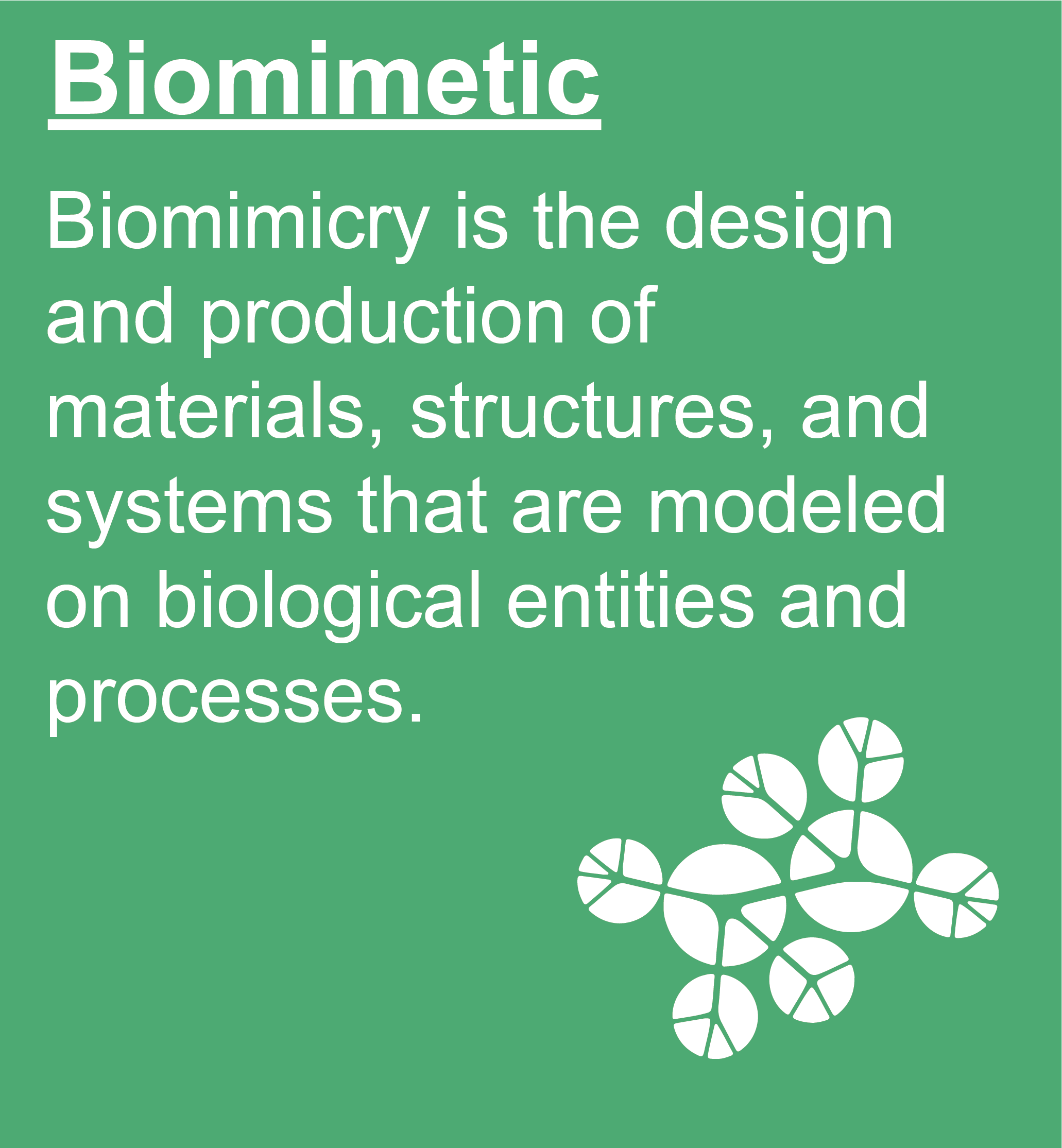 Biomimetic-Linkbox